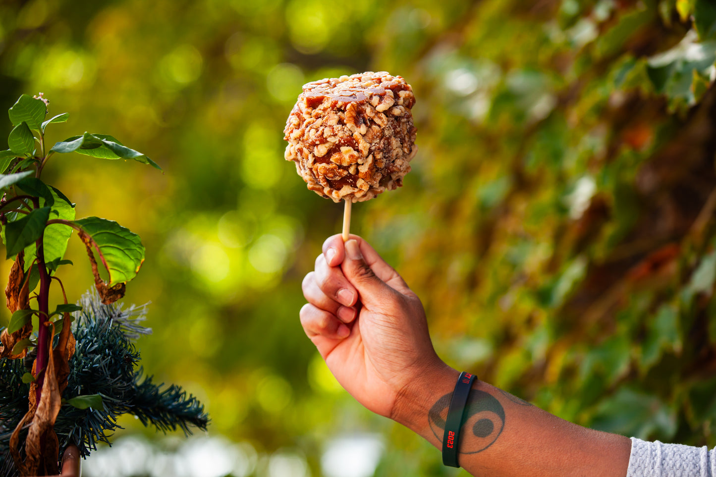 Gourmet Caramel-Dipped Apples Trio